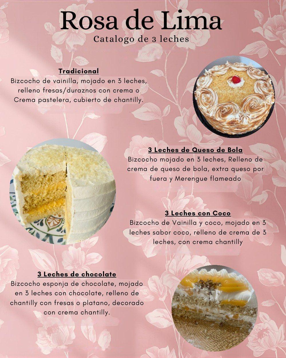 Pasteles de 3 leches: tradicional, queso de bola, coco y chocolate