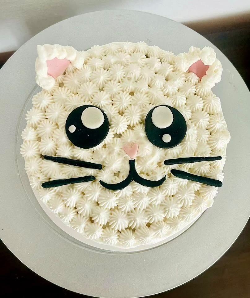 Custom kitten cake in Playa del Carmen